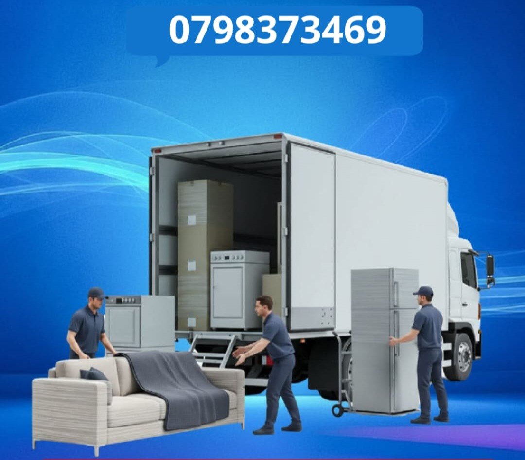 نقل أثاث النجوم